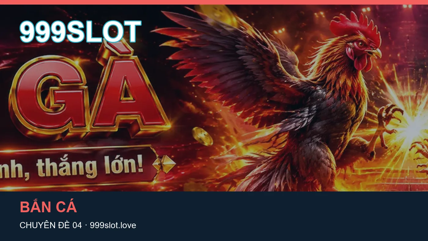 Hướng dẫn: những thuật ngữ cần hiểu khi tra cứu 999SLOT